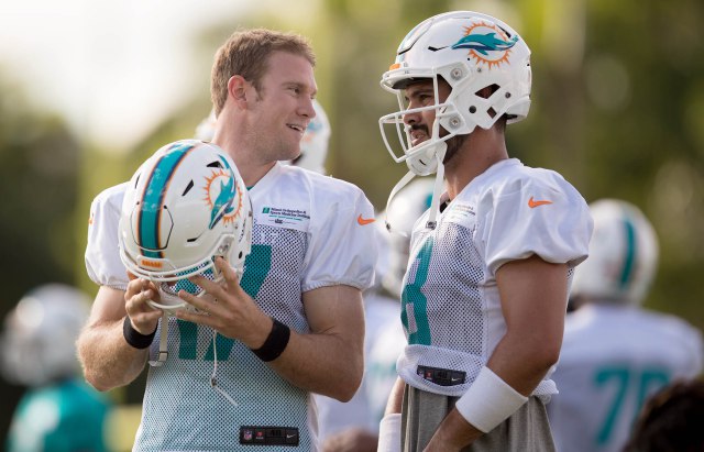 20170727 ale dolphins camp 019